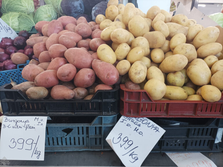 burgonya ára