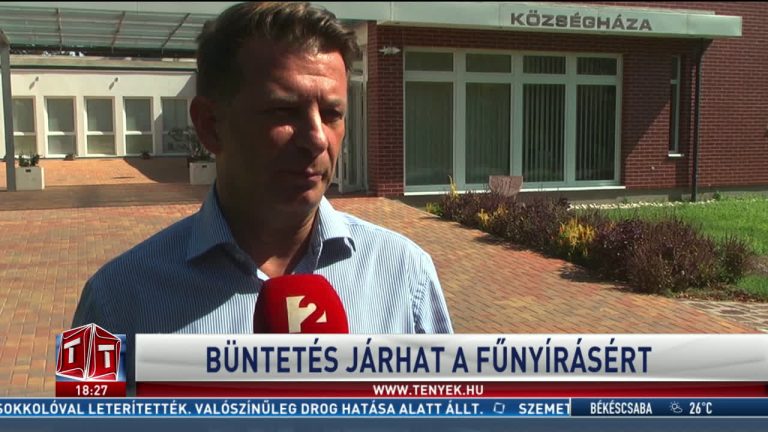 Büntetés járhat a fünyírásért