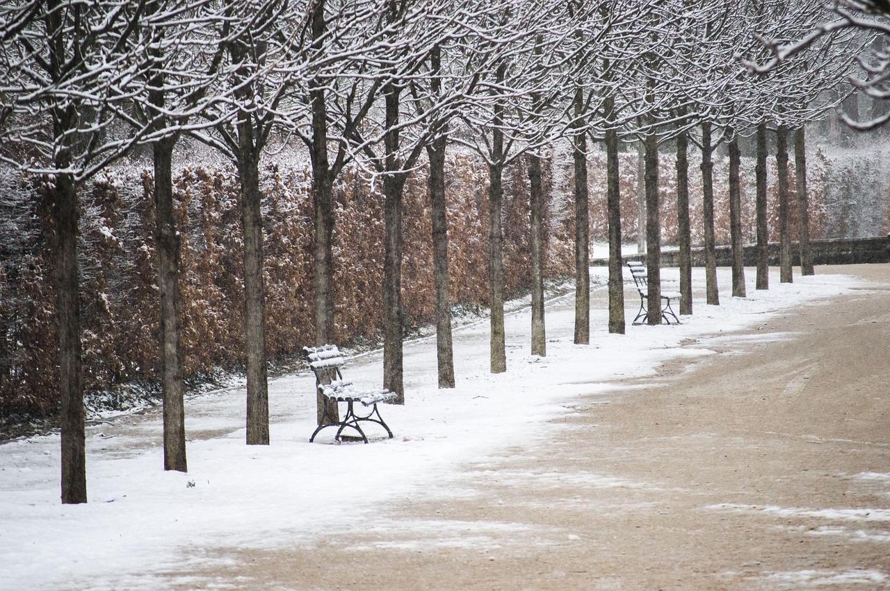 hideg fagyos éjszakák
